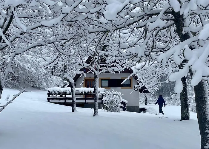 Bozica Lokve