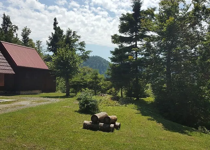 Bozica *