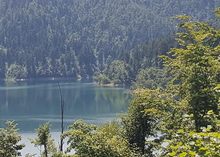 Bozica Feriehus Lokve
