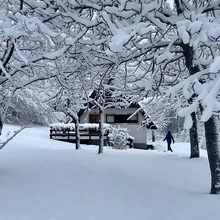 Holiday Bozica Lokve