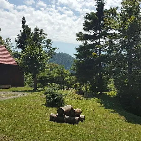 Holiday Bozica *